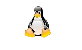 Linux